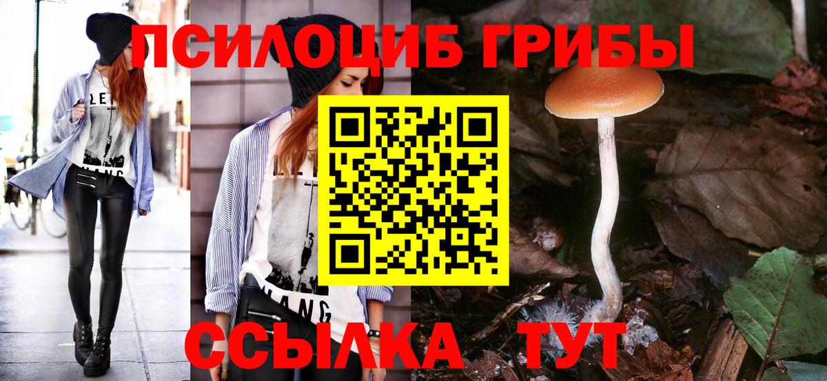 Галлюциногенные грибы MAGIC MUSHROOMS Новый Уренгой